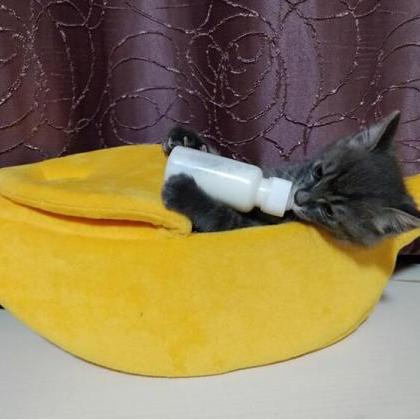 Cute Dog Cat Pet Soft Bed, Pet Supplies Creative..