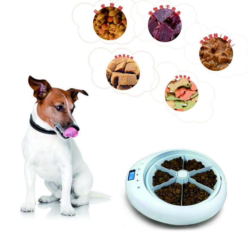 Pet Automatic Feeder Timing Feeder For Dog And Cat Digital Timing Feeder Pet Food Dispenser