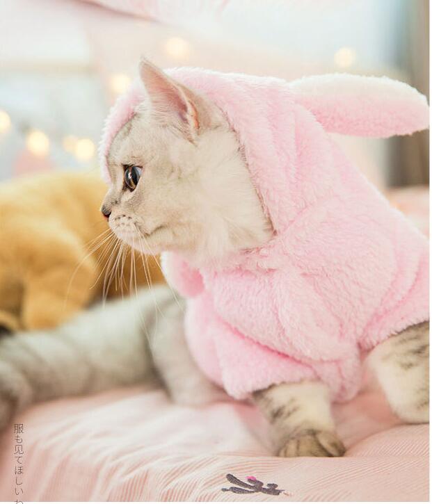 Cute Big Ears Pink Rabbit Fort Small Cats, Pet Clothes For Autumn And Winter,lovely Sportswear Cute Cloth Kitten Suit